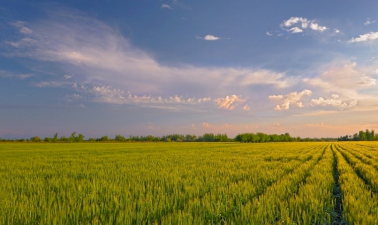 Мәжіліс Жер кодексіне енгізілген түзетулерді мақұлдады