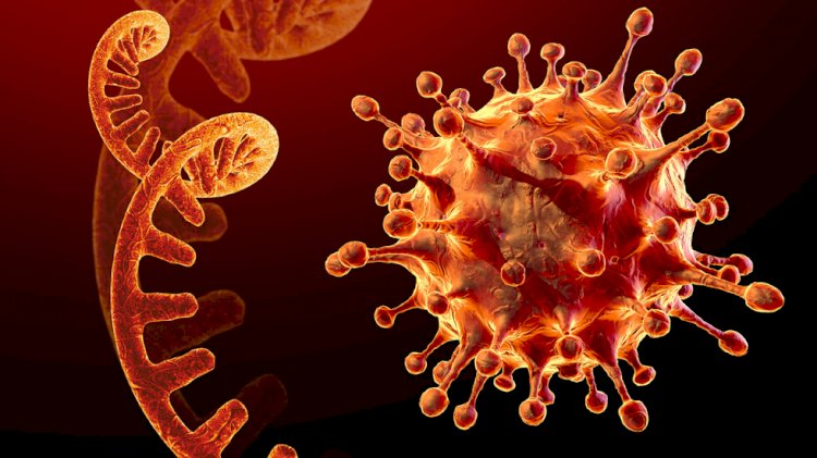 1068 адамнан коронавирус табылды