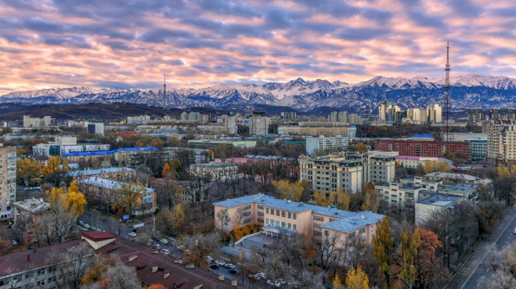 Алматыда кімдер коронавирусты көп жұқтырады?