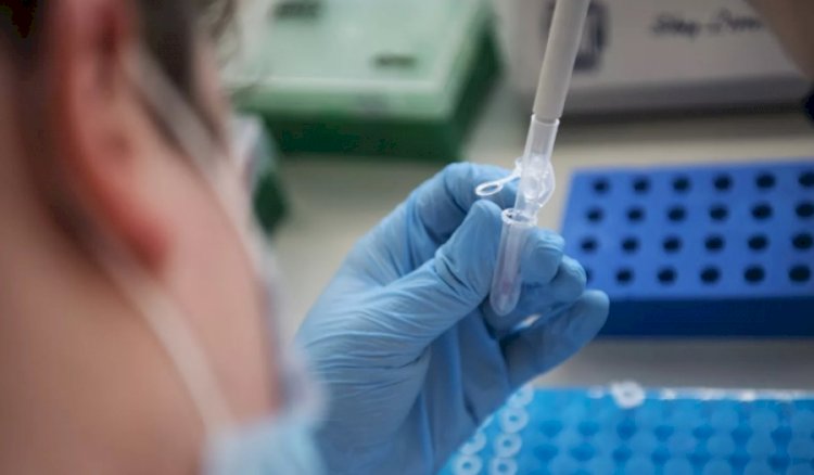 Қалада үнді штамы табылды деген қауіп анықталды