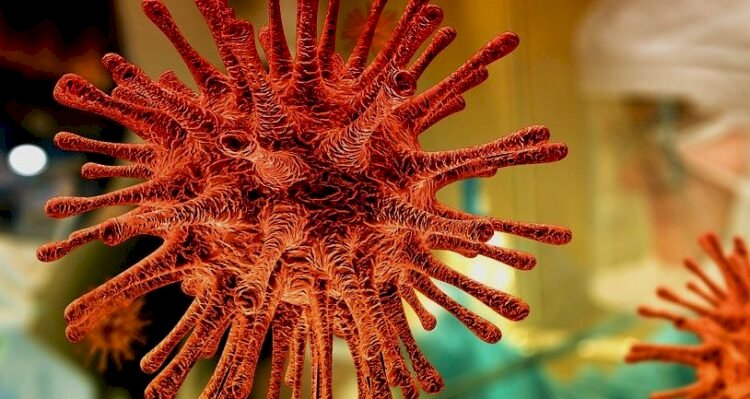 Жандарбек Бекшин : Төртінші толқын күтіп тұр