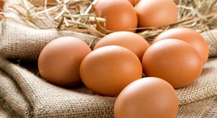 Жұмыртқа бағасы біршама арзандады