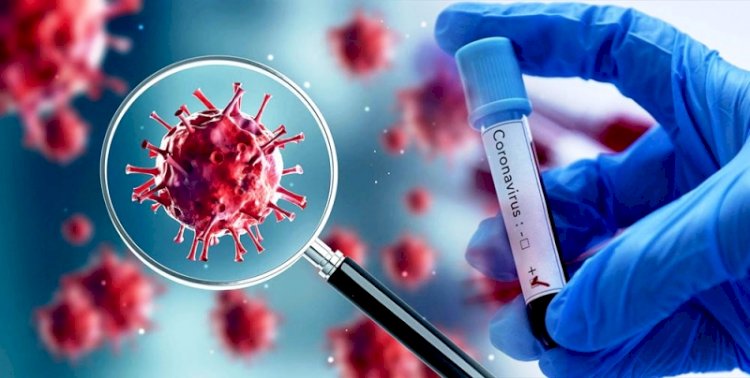 Алматыда коронавирус инфекциясын жұқтырғандар саны артуда