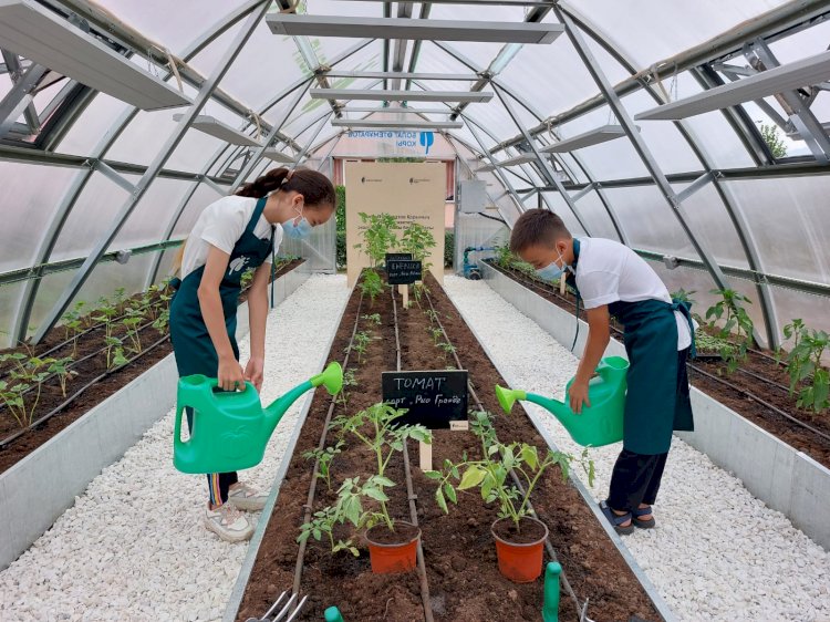 Алматыда «Жасыл мектептер» бірегей жобасы басталды