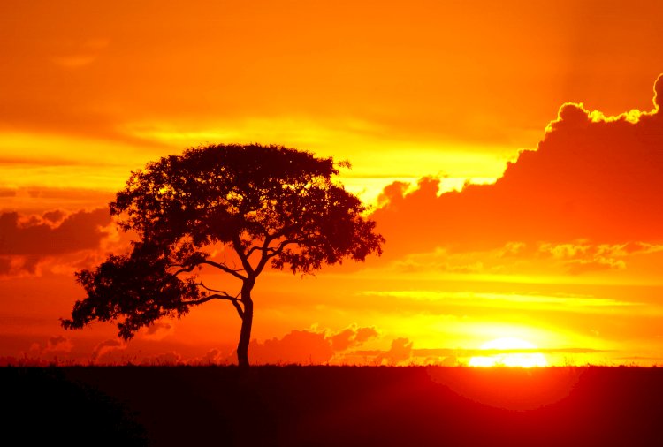 Ғалымдар алдағы он жылда болатын аптап ыстықты болжады