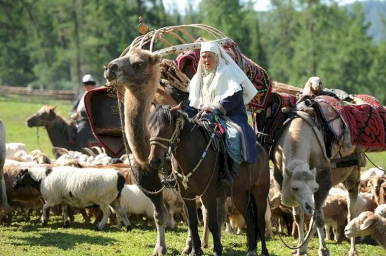 Қандастарға ұсынылатын мемлекеттік қызметтер аясы кеңейді