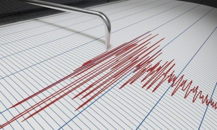 Алматыдан 257 км қашықтықта жер сілкінісі болды