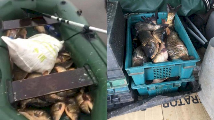 Ақмола облысында “Браконьер” операциясы қорытындыланды