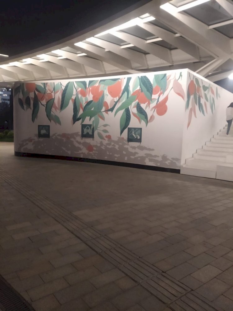 Түнгі Алматының әсемдігіне көз тоймайды