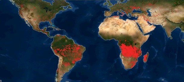 NASA Жер бетіндегі өрттердің картасын көрсетті