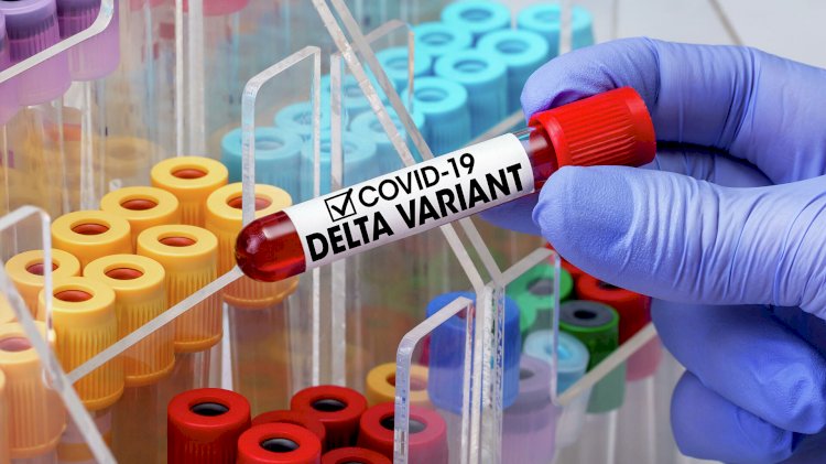 «Дельта» дүние жүзіне шабуыл жасауда