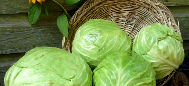 Қырыққабаттың шекті бағасы белгіленді