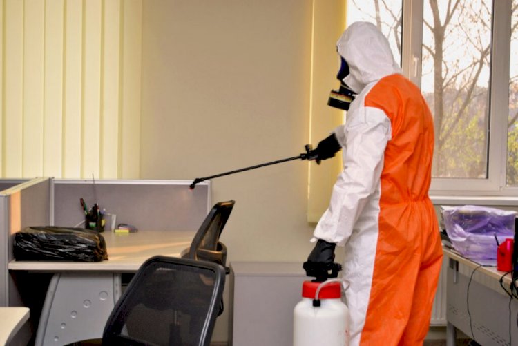 10 161 адам коронавирус инфекциясынан жазылып шықты