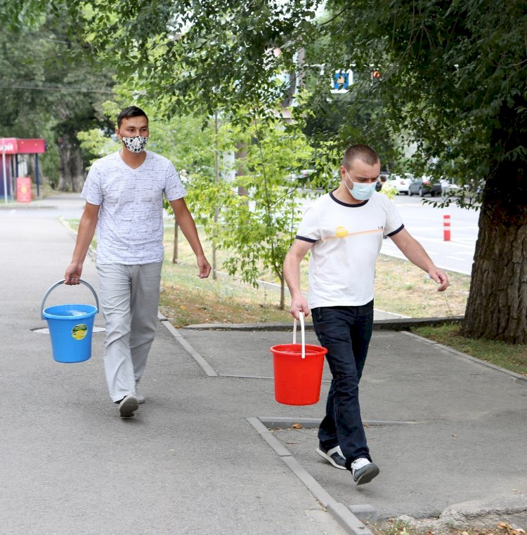 Алматыда жасыл алаңдардың электронды реестрі іске қосылды