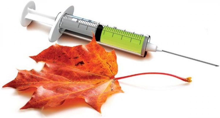 Елімізде 15 қыркүйектен бастап тұмауға қарсы вакциналау жүргізіледі