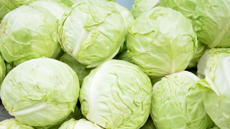 Елімізде пияз бен қырыққабат бағасы қымбаттады