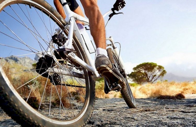 Велосипедтің тиімділігі мол