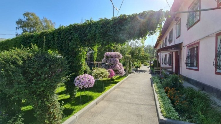 Тұрғындар қарапайым ауланы жайқалған жасыл баққа айналдырды  - Байқау сарапшылары