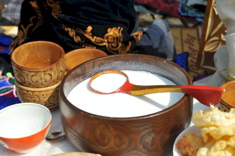 Елімізде қымызбен емдеу орталықтары ашылуда