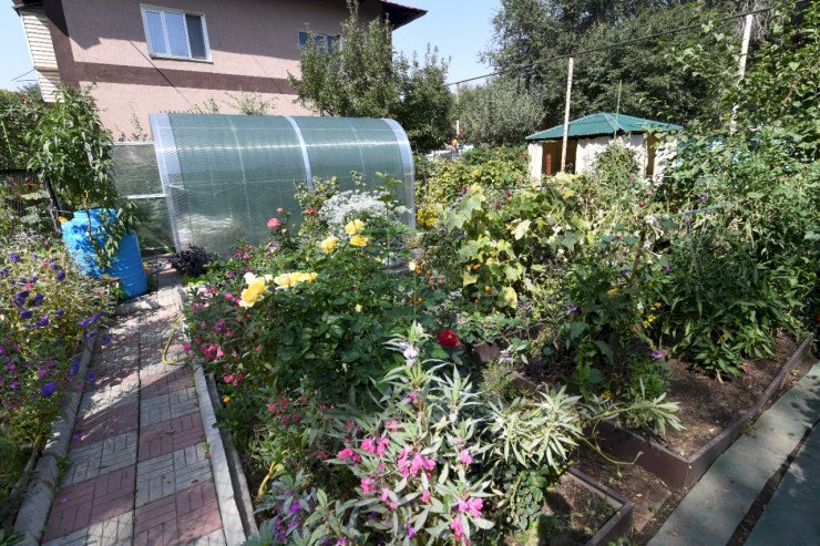 «Аула аумағын көгалдандыру» байқауы келер жылы да жалғасады – Сағынтаев