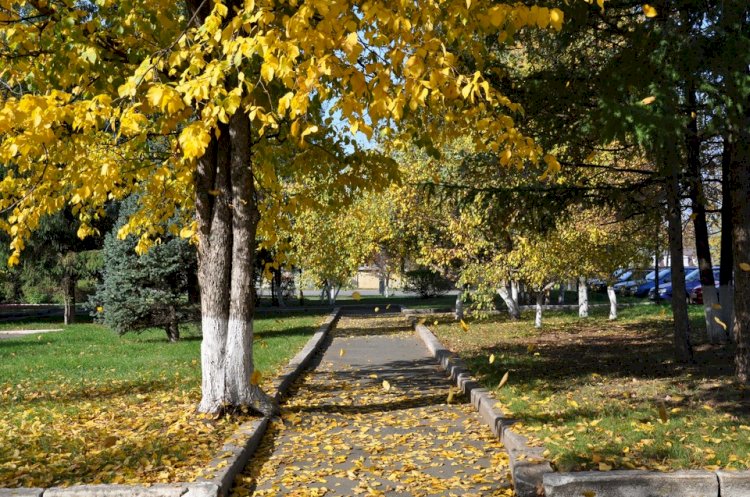 Алматыда күн ашық болады