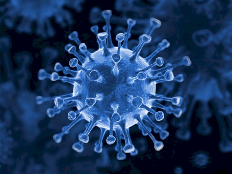 Қазақстанда өткен тәулікте 2096 адамнан коронавирус анықталды