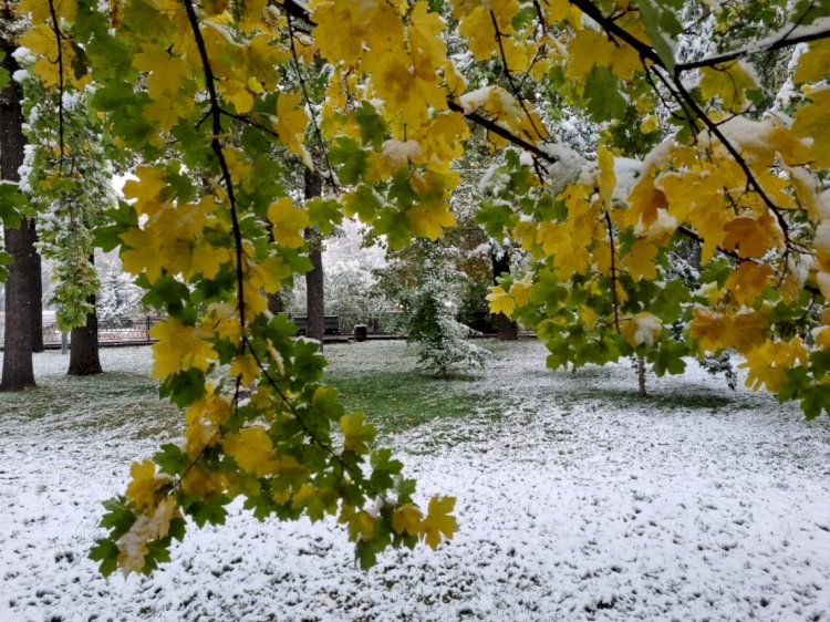 7 қазанға арналған ауа райы болжамы