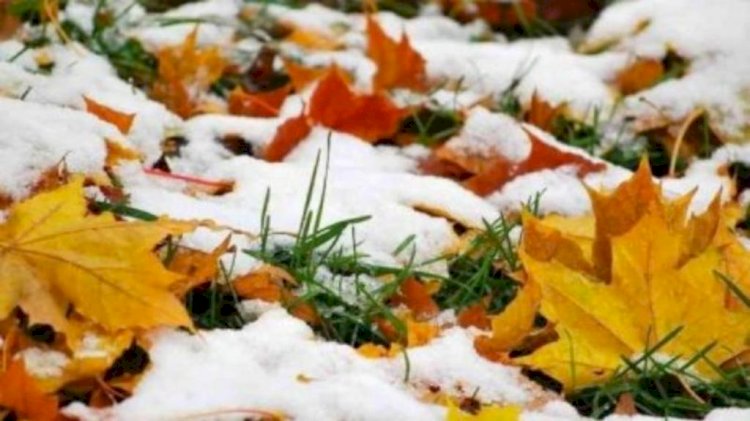 11 қазанға арналған ауа райы болжамы