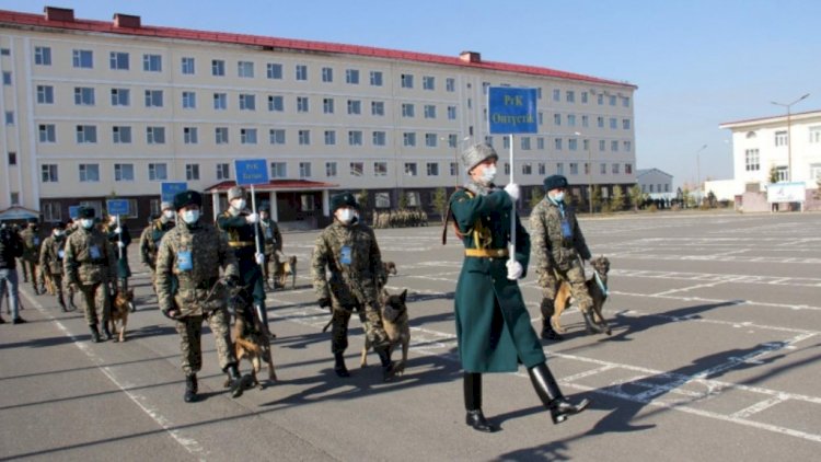Ұланның үздік кинологтары анықталды