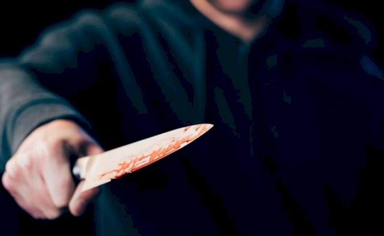 Сайлаушылармен кездесуге барған депутатты өлтіріп кетті