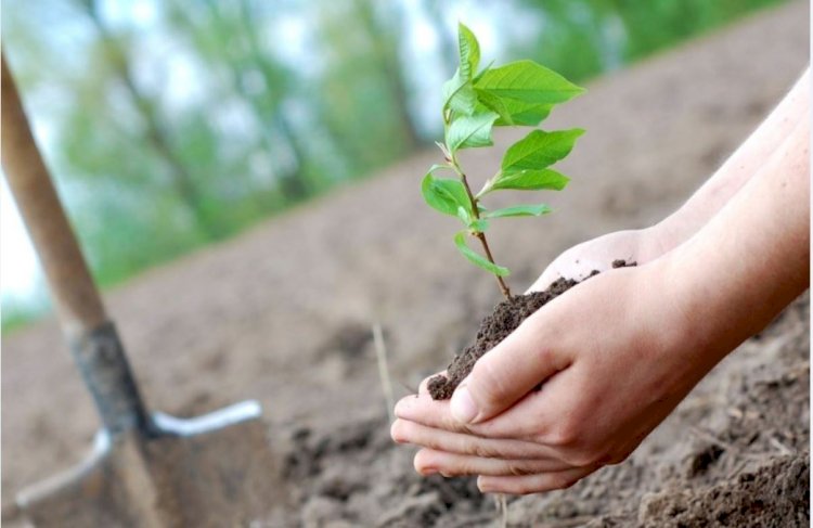 Алматыда «Жасыл қала» науқаны басталды