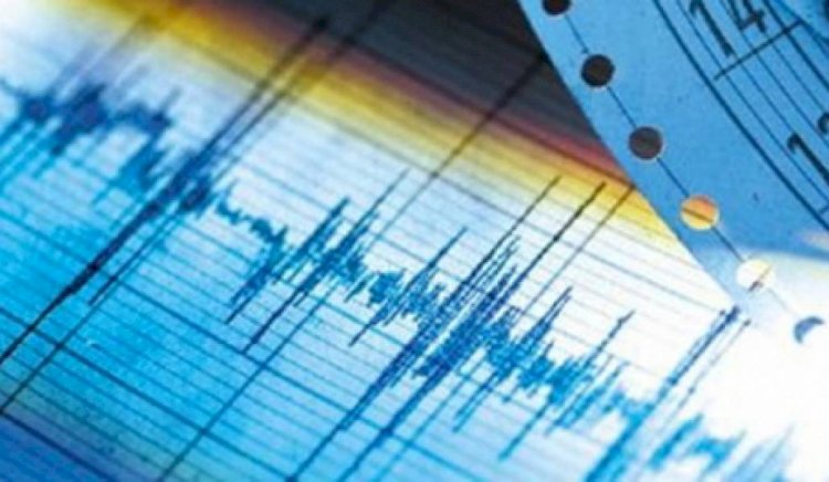 Алматыдан 623 км қашықтықта жер сілкінді