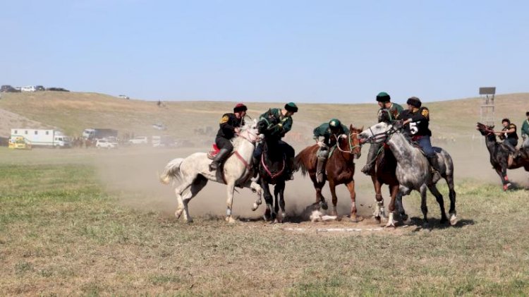 Жануарларға да жауапкершілікпен қарау керек