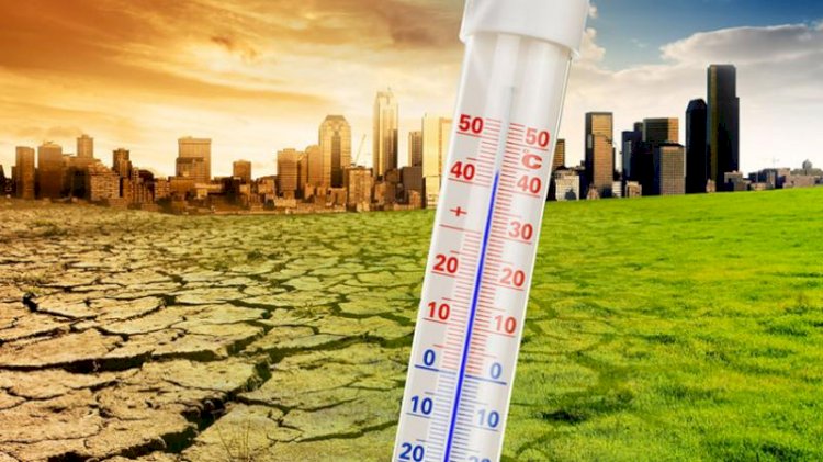 Климаттың өзгеруі ұлттық экономиканы құлдыратады