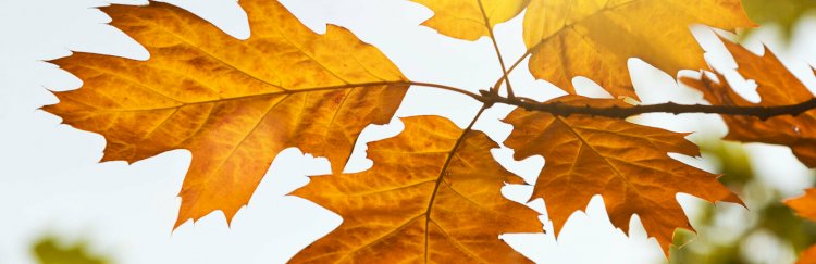 Екі күн демалыста ауа райы қандай болмақ?