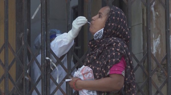 Үндістанда Зика вирусы өршіді