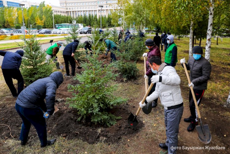 Алматыда ағаш отырғызу науқаны жүріп жатыр