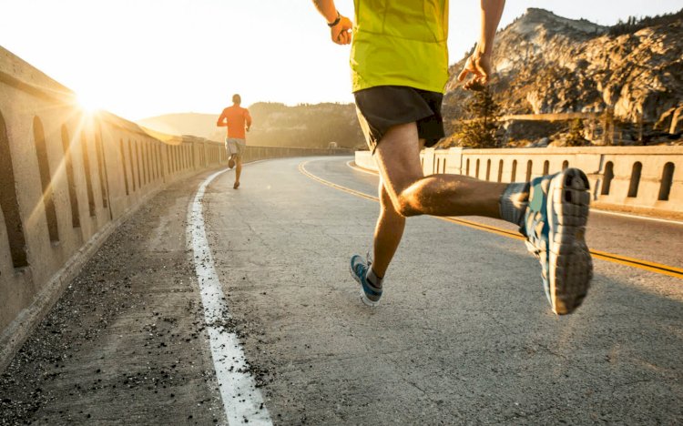 Қанатыңыз талмасын