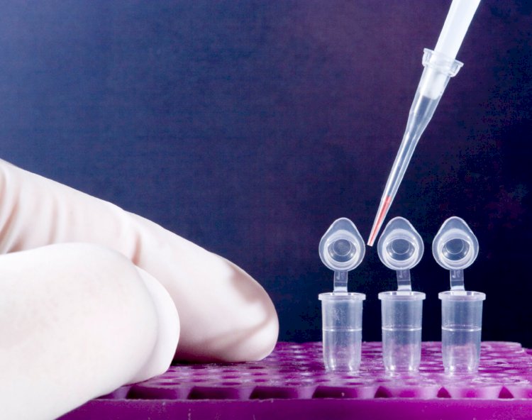 Соңғы тәулікте 931 адамнан коронавирус табылды