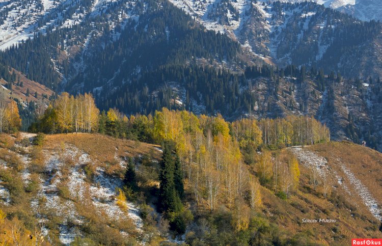 16 қарашаға арналған ауа райы болжамы