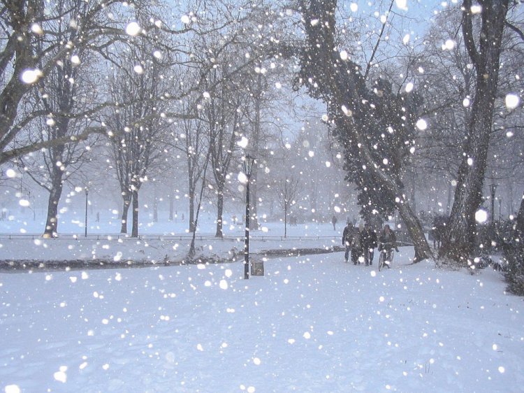 Алғашқы қардың әсері мол