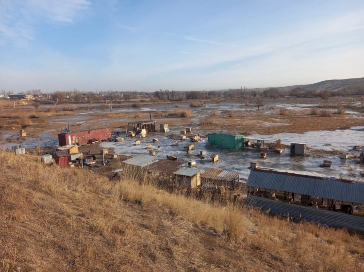 ТЖМ қызметкерлері панасыз иттерді құтқарды