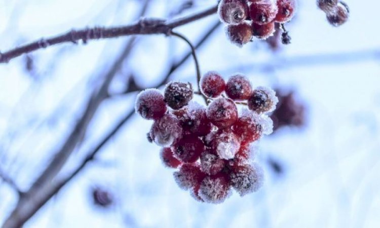 Сейсенбі күні ауа райы қандай болмақ?