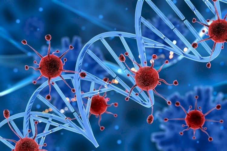 Елімізде коронавирус жұқтыру жағдайы төмендеді