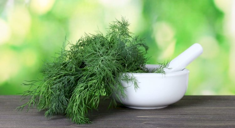 Аскөктің пайдасы