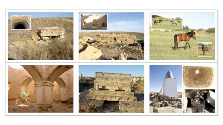 Алматыда этнограф-ғалым Тәттігүл Қартайдың фотокөрмесі өтеді