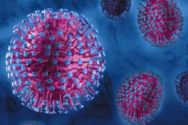 Бір тәулікте 683 адамнан коронавирус анықталды