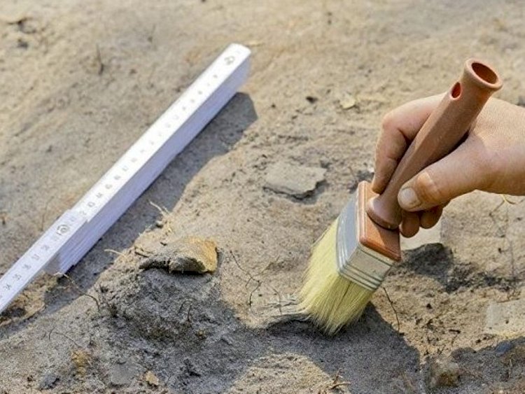 Сақ қызы рахитпен ауырғаны анықталды