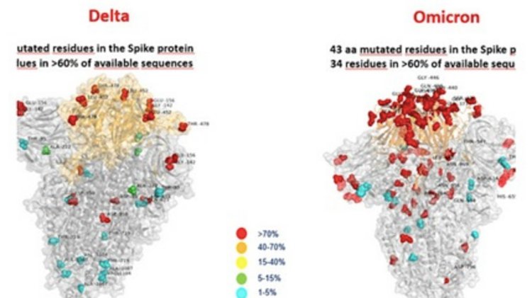 «Омикрон» мен «дельта» штамдарын бірге жұқтыру қаупі қандай?