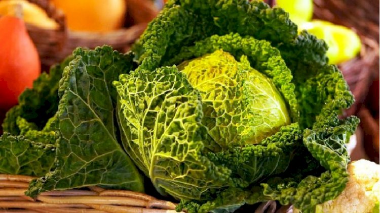 Қырыққабат қан қысымының алдын алады - ғалым